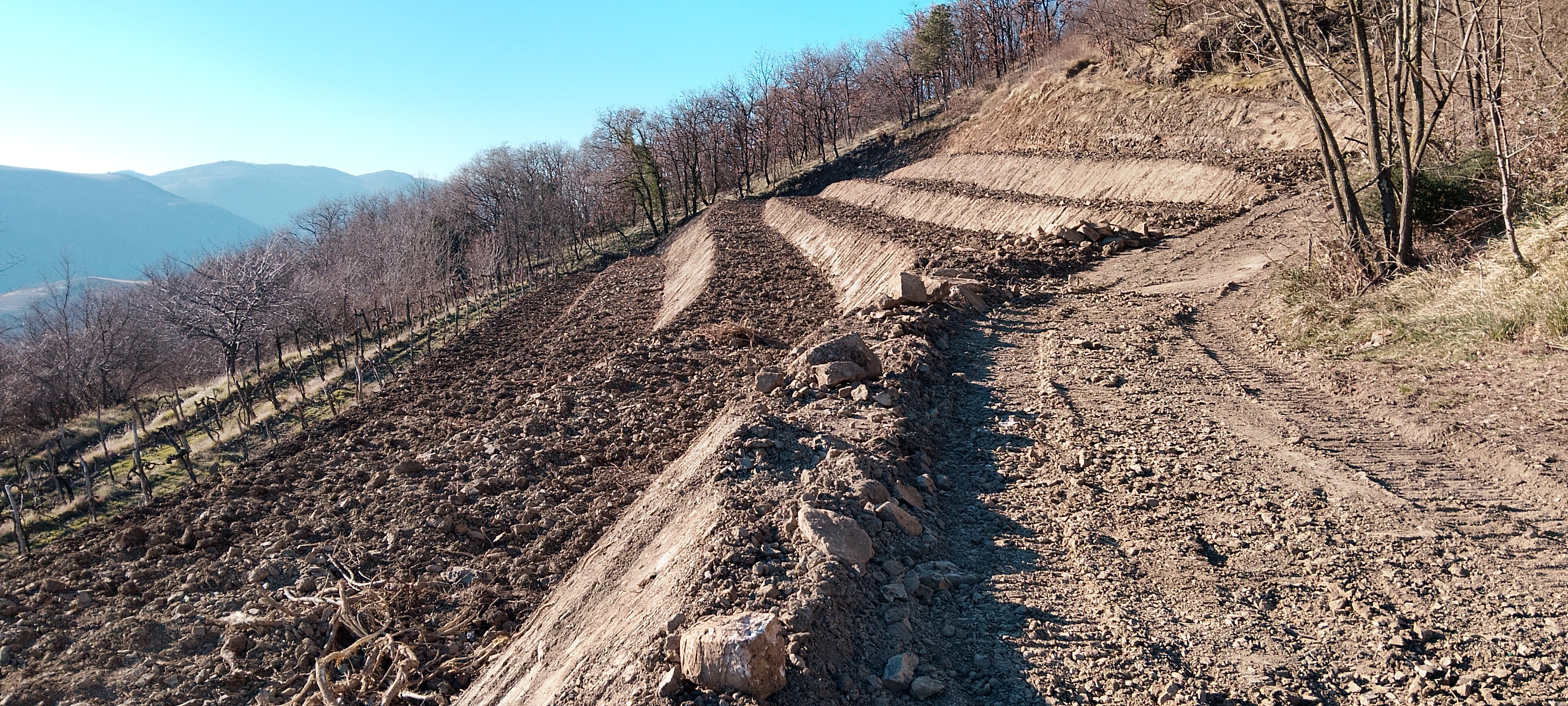 Poljšakova Brajda — foto 29